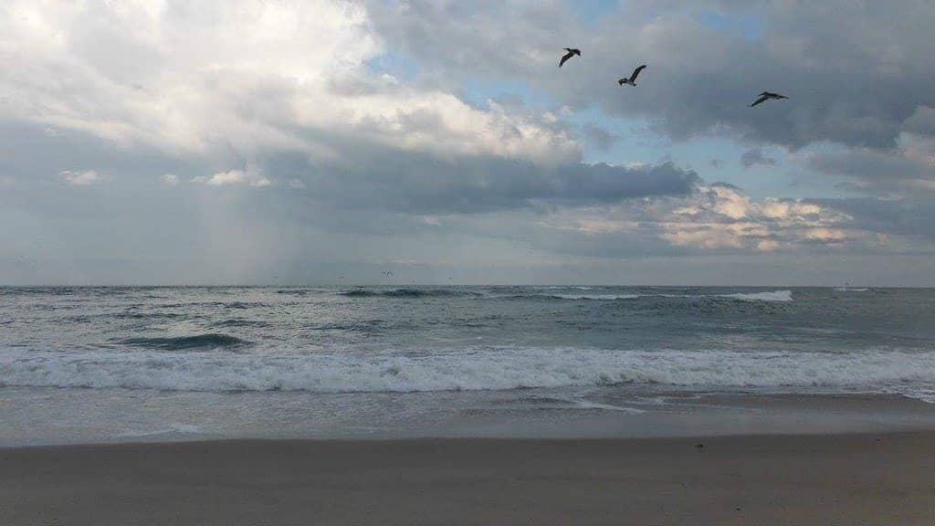 World-Class Surfing