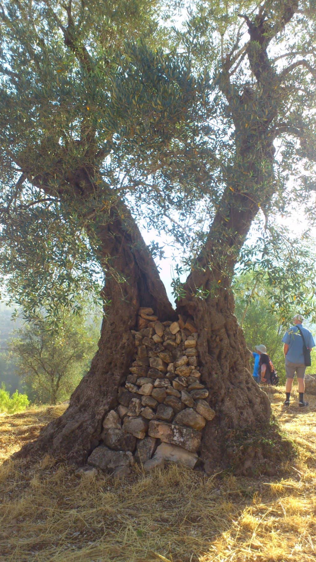 Church of St. John the Baptist