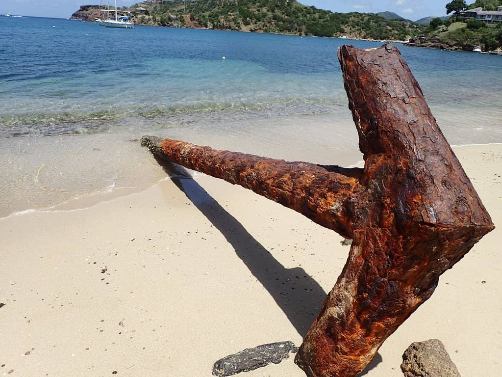 Snorkeling & Turtle Spotting