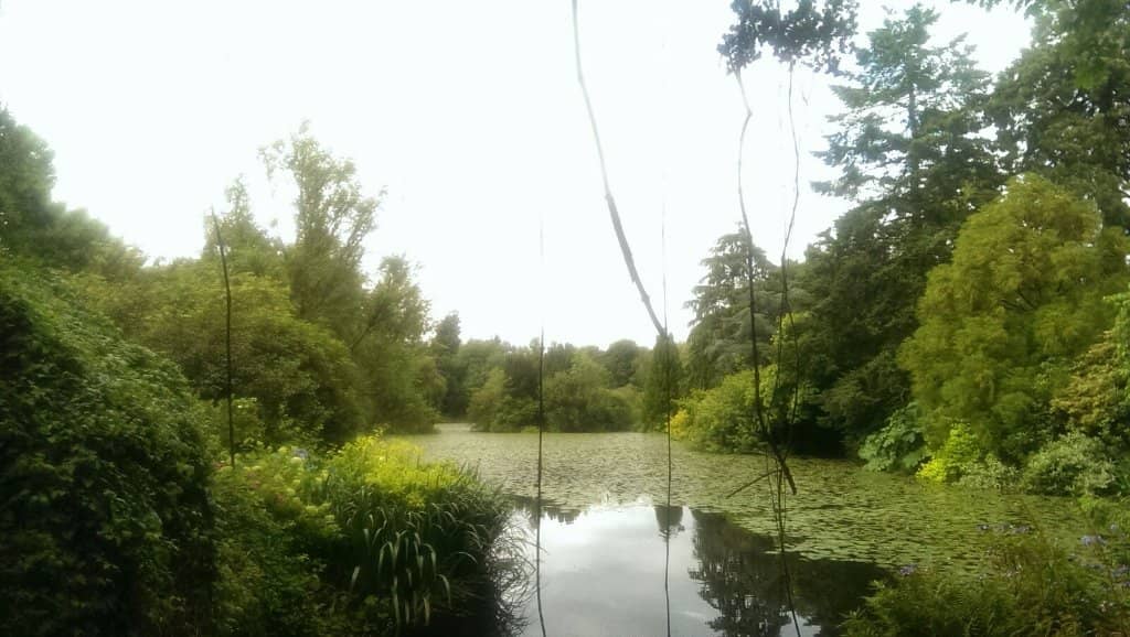 The Arboretum