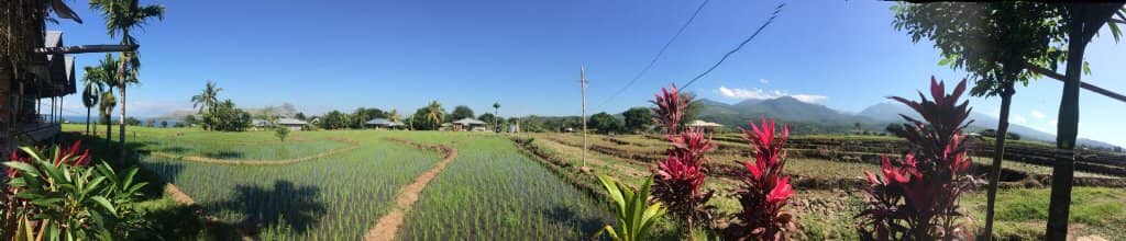 Sunrise and Cloud Views