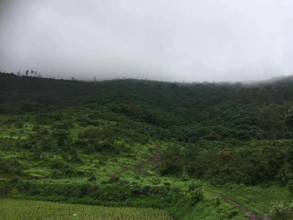 Kedareshwar Temple