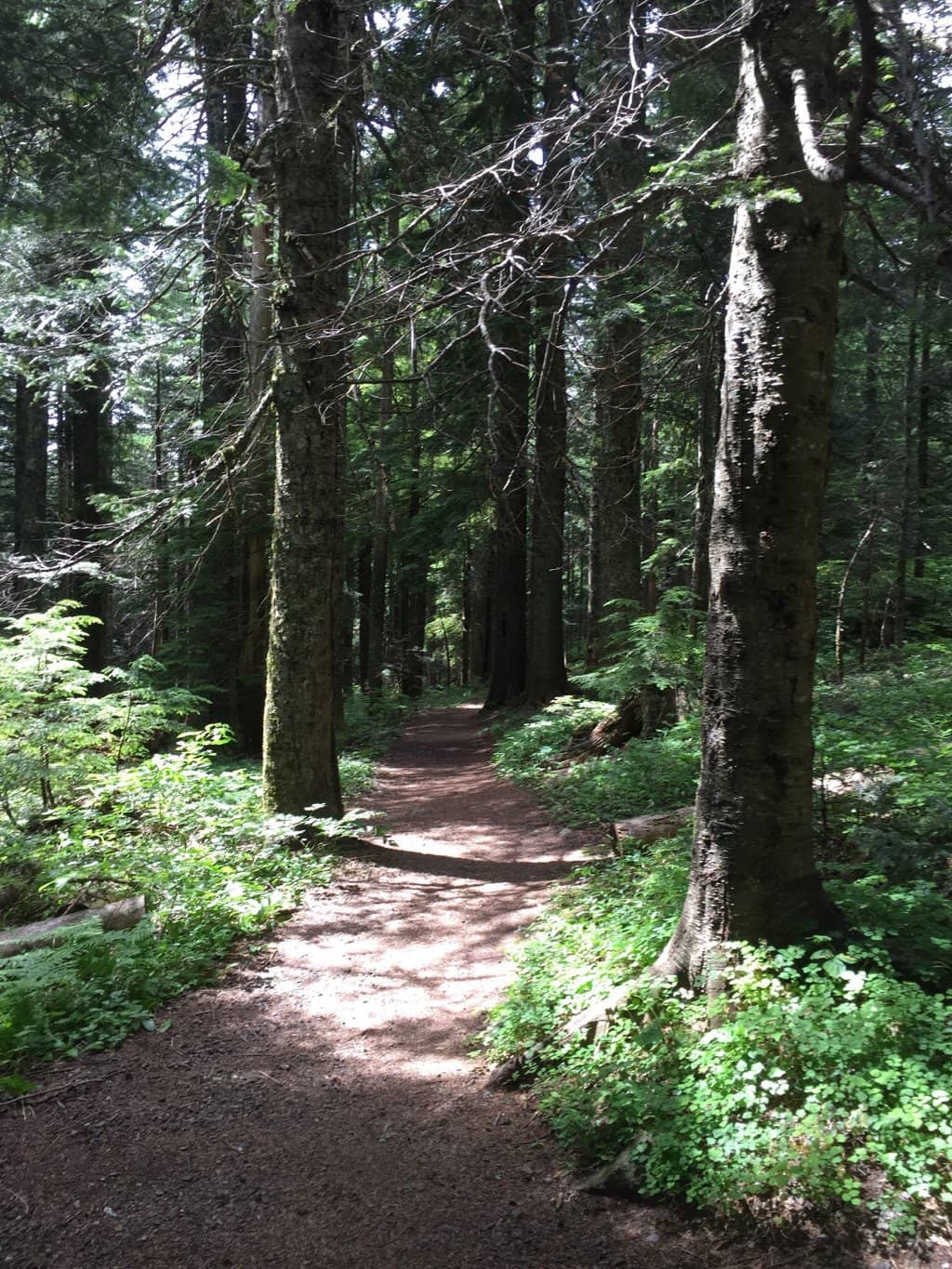 Multnomah Falls Trail Ascent