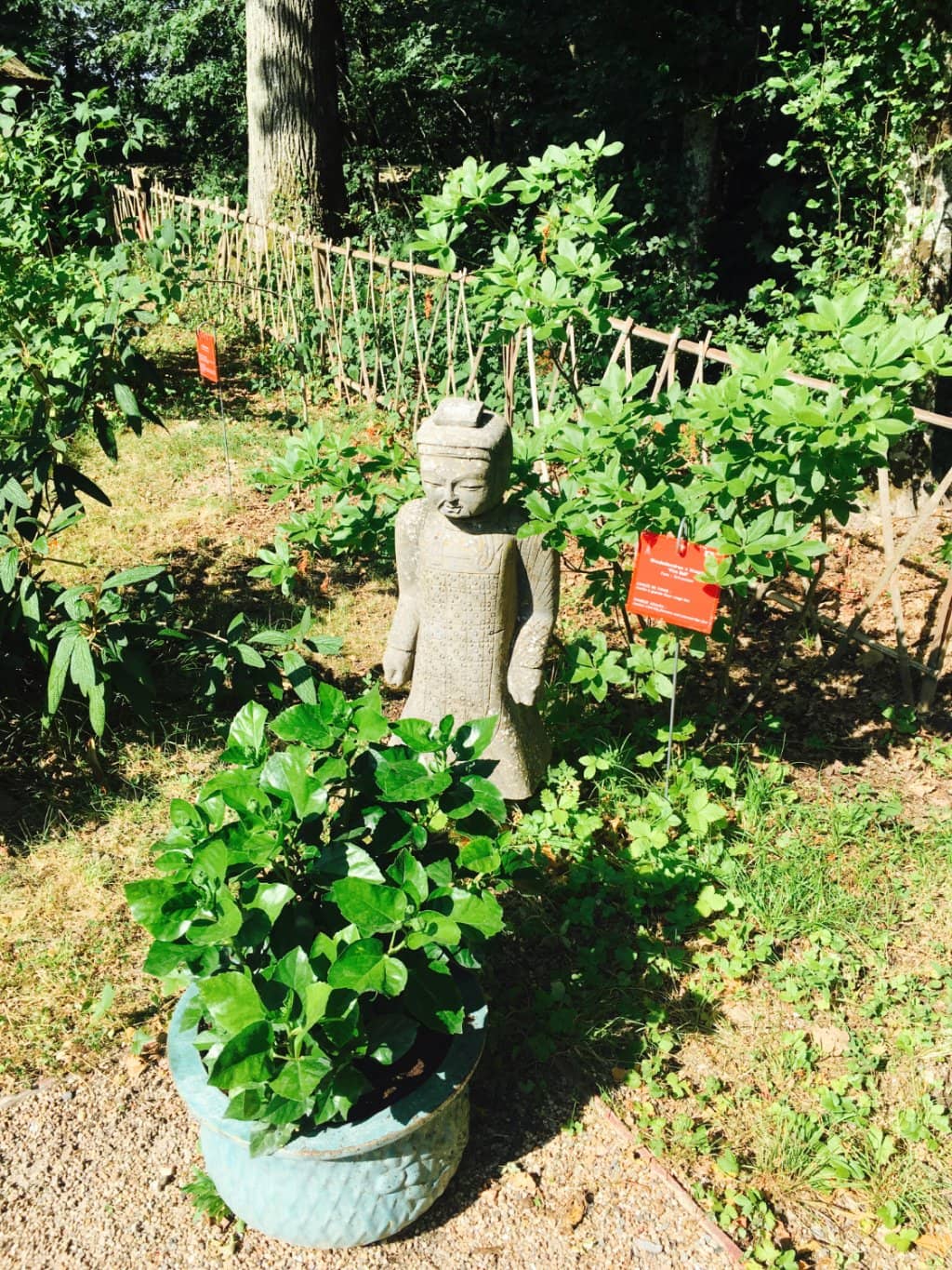 The Serene Gardens