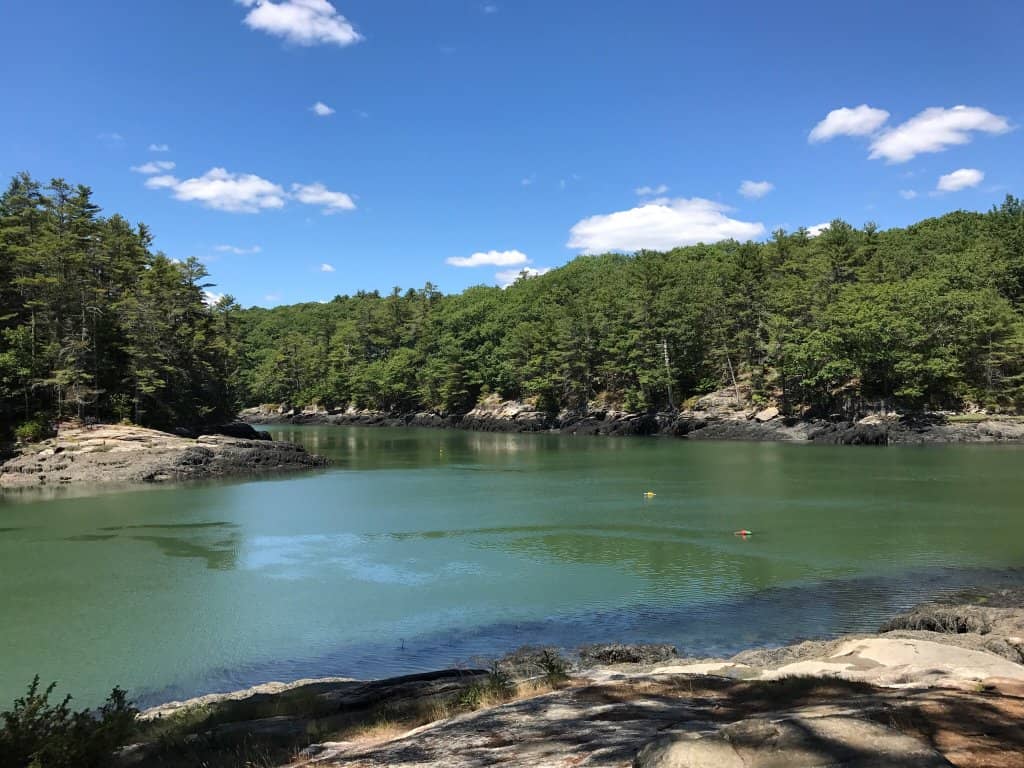 Peaceful Log Bench Overlook