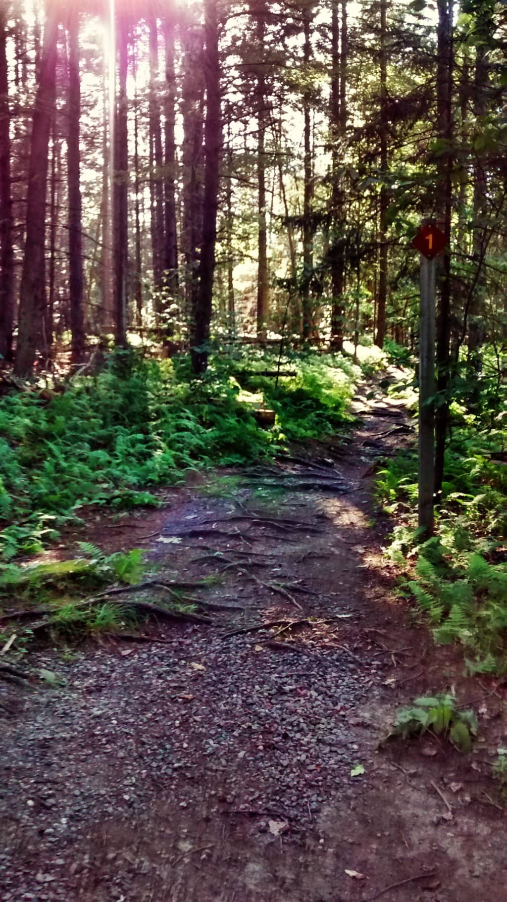 Year-Round Nature