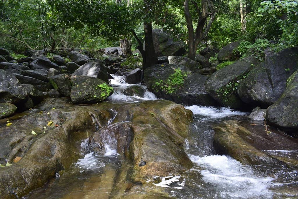 Refreshing Natural Pool