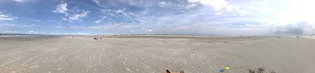 Dune Forest Walk