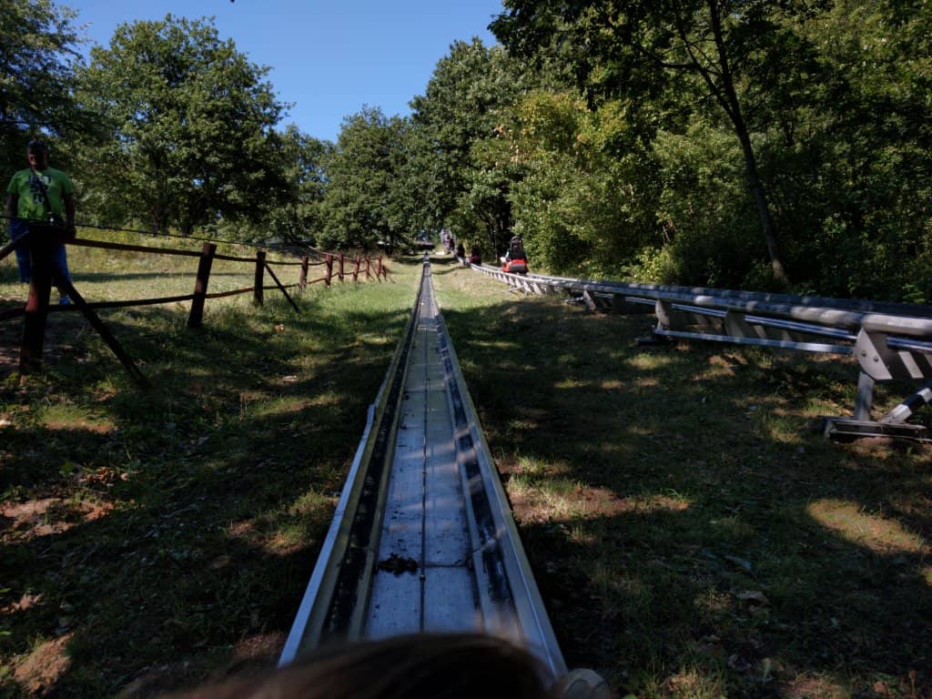 Vertical photo