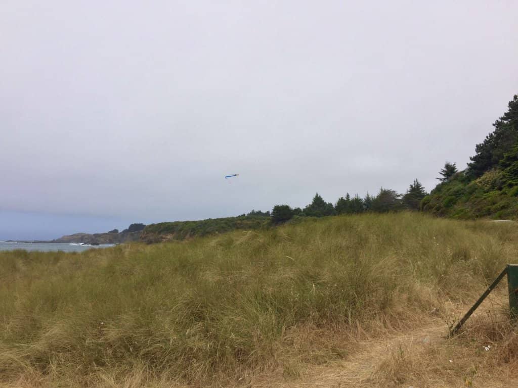 Wildlife Watching