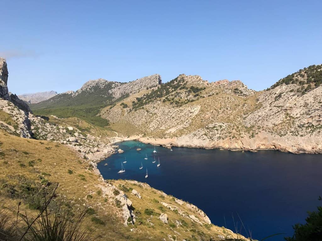 Vibrant Snorkeling Spots