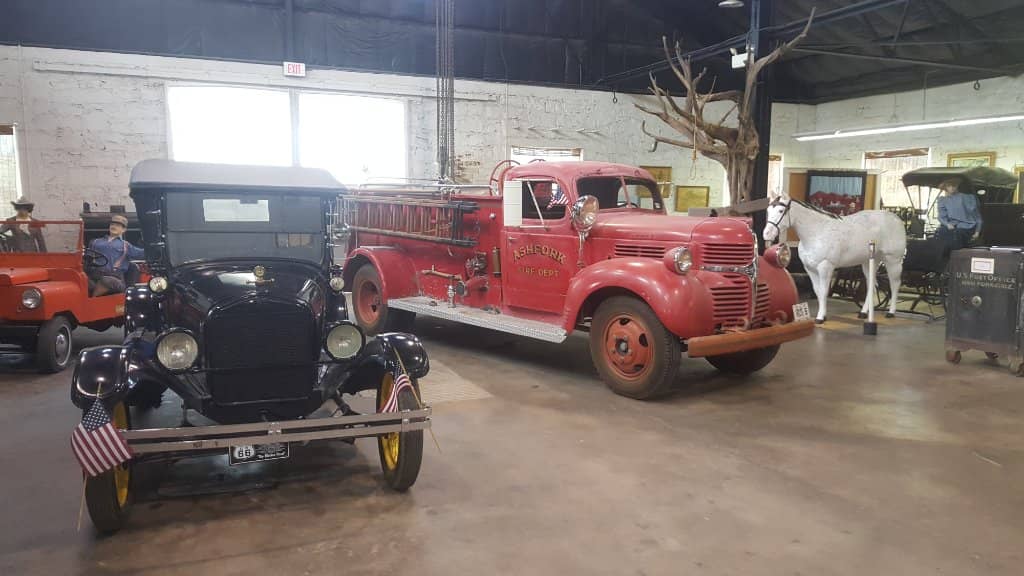 Friendly Volunteer Staff