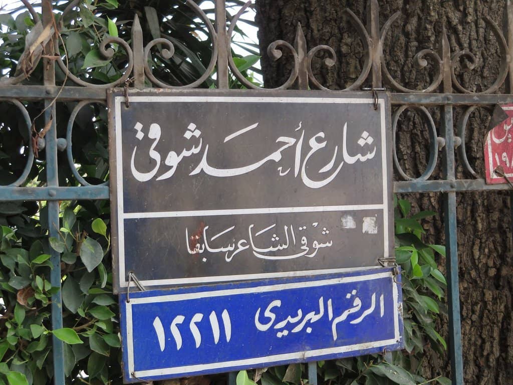 Lush Gardens