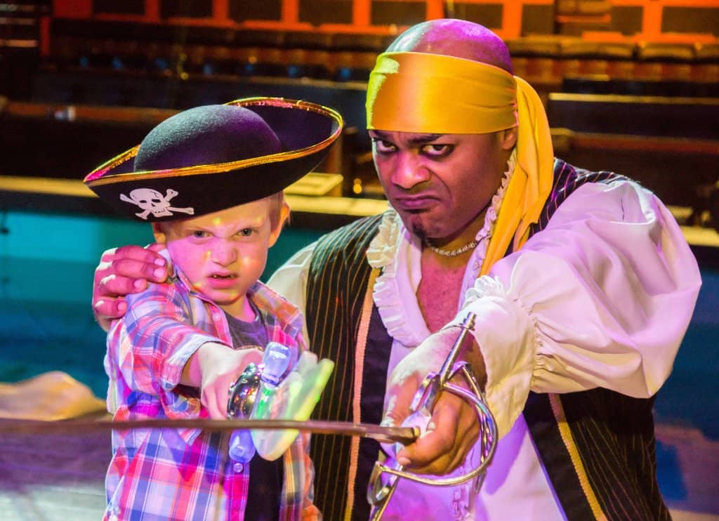 Themed Dining Experience