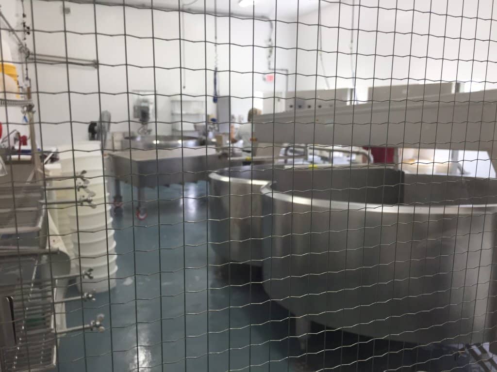 Squeaky Cheese Curds