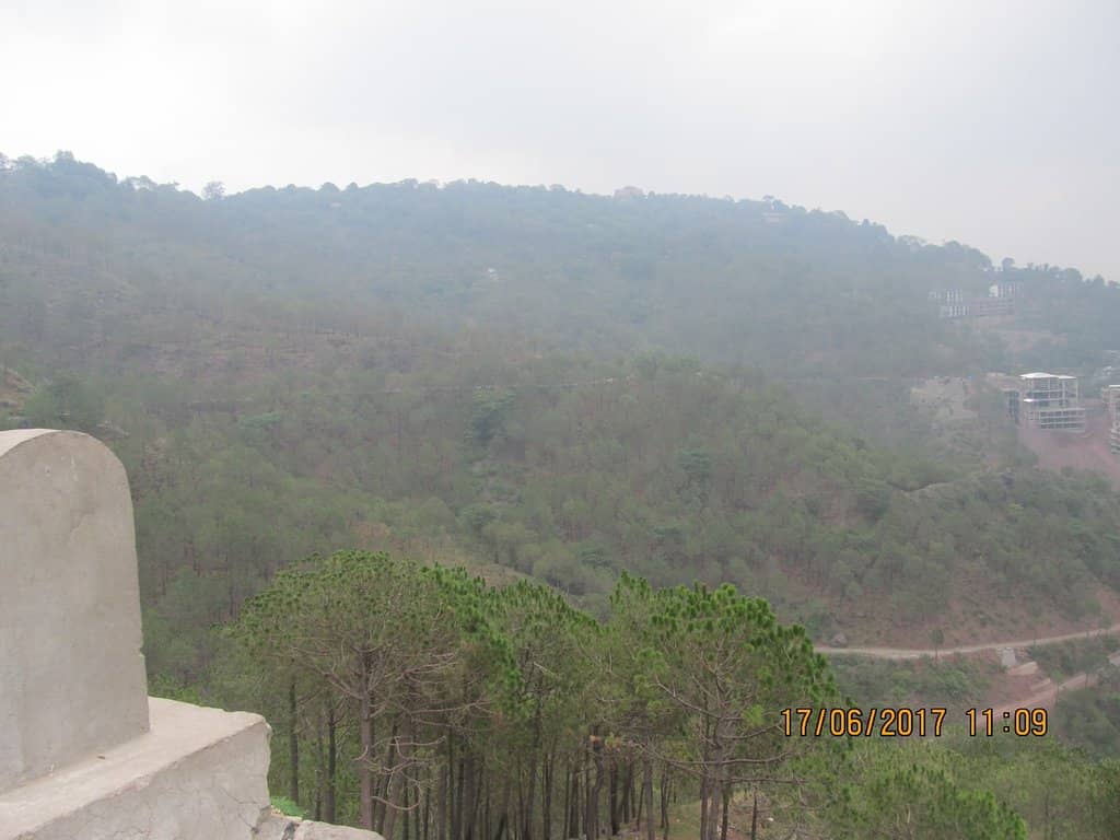 Vertical photo