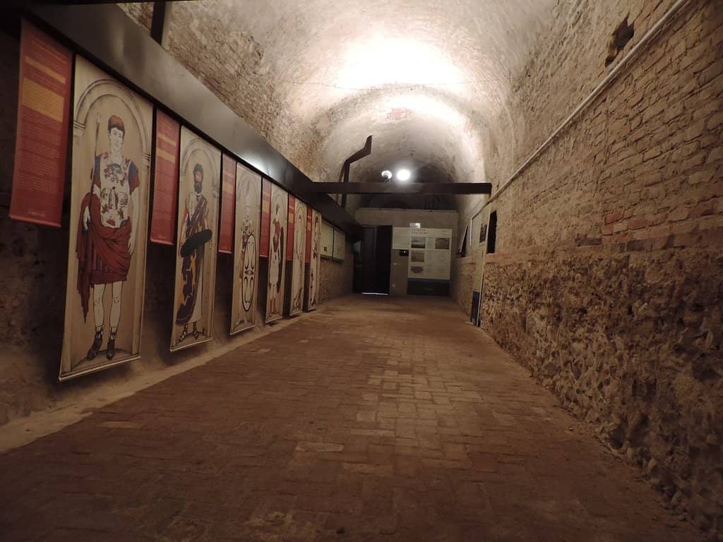 Archaeologist-Led Tours