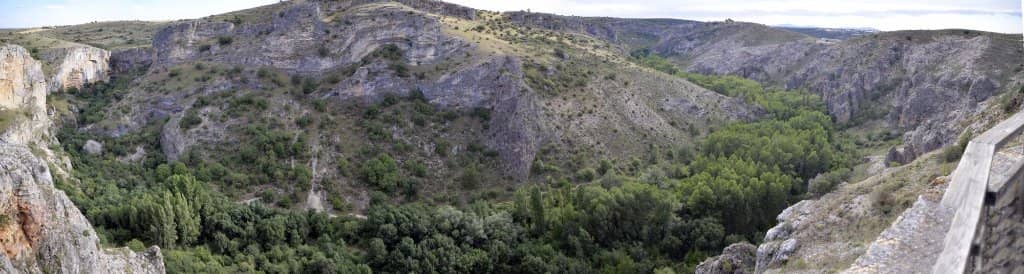 Homage to a Naturalist Icon