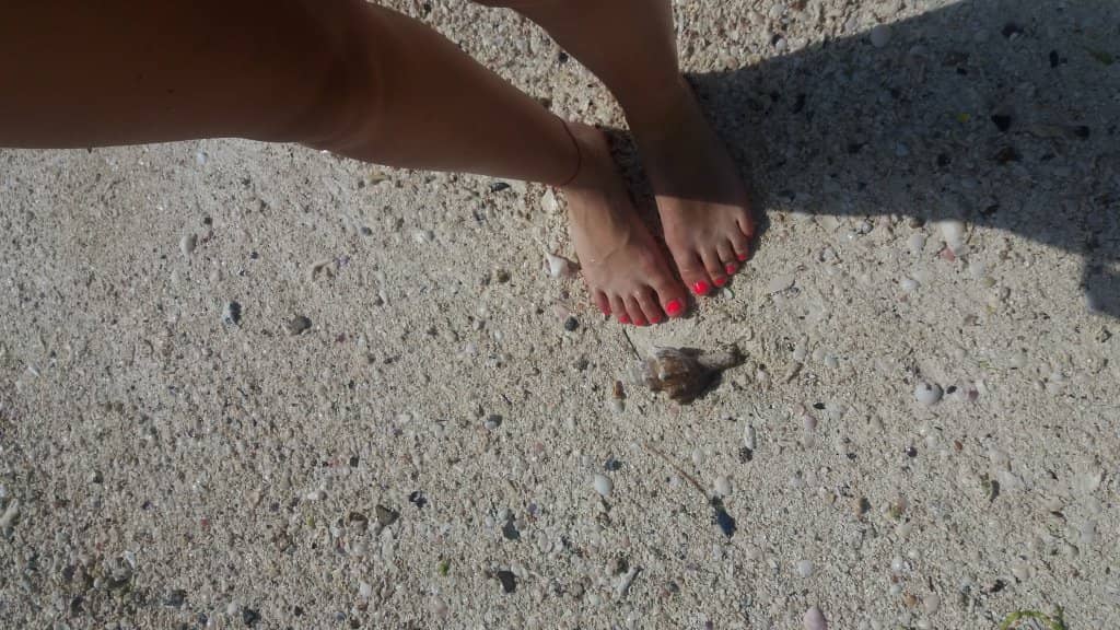 Themed Dinner Nights