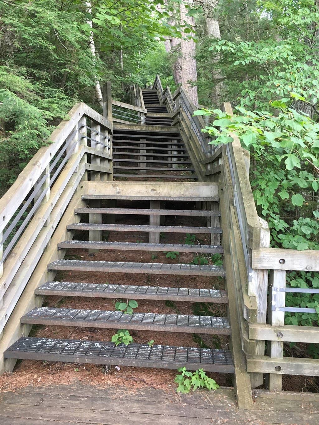 Vertical photo