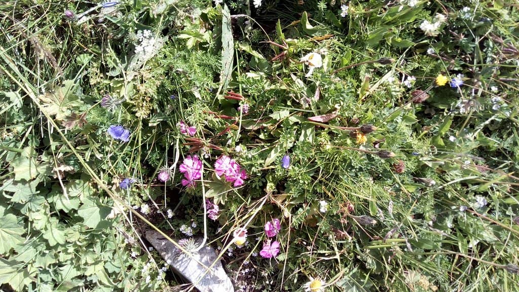 Hochschneeberg Summit Views