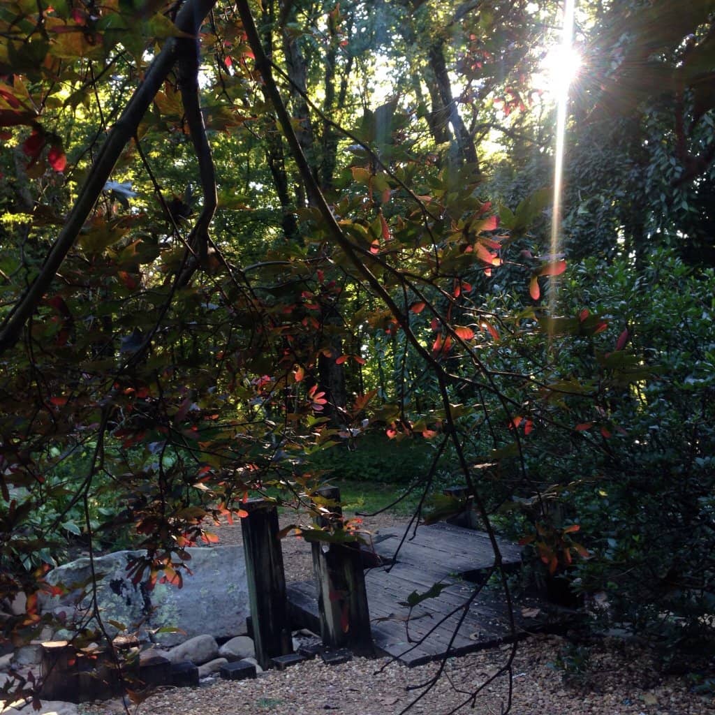Fletcher Moss Park & Parsonage Gardens