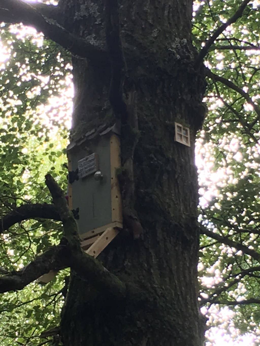 The Hundred Acre Wood