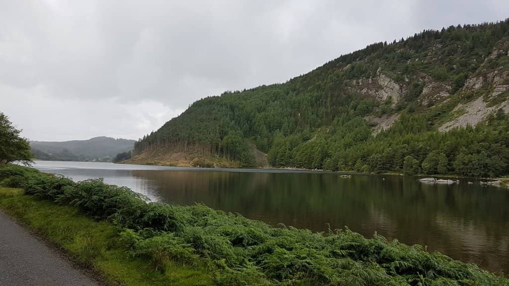 Wild Swimming Adventures