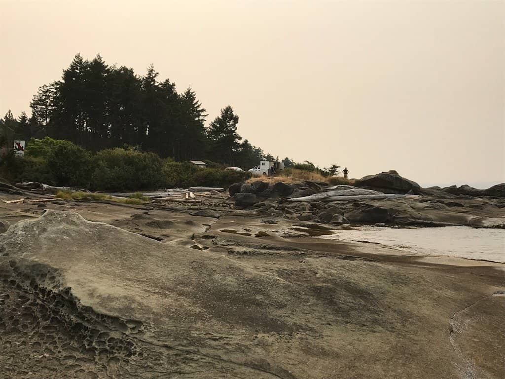 Whale and Seal Watching