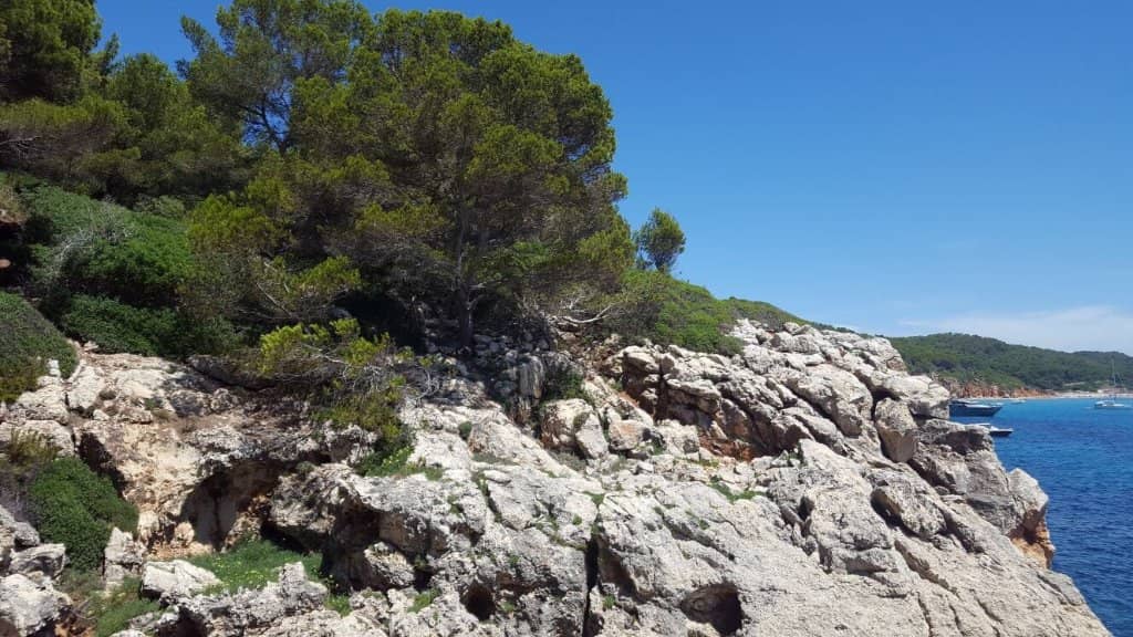 Crystal Clear Waters