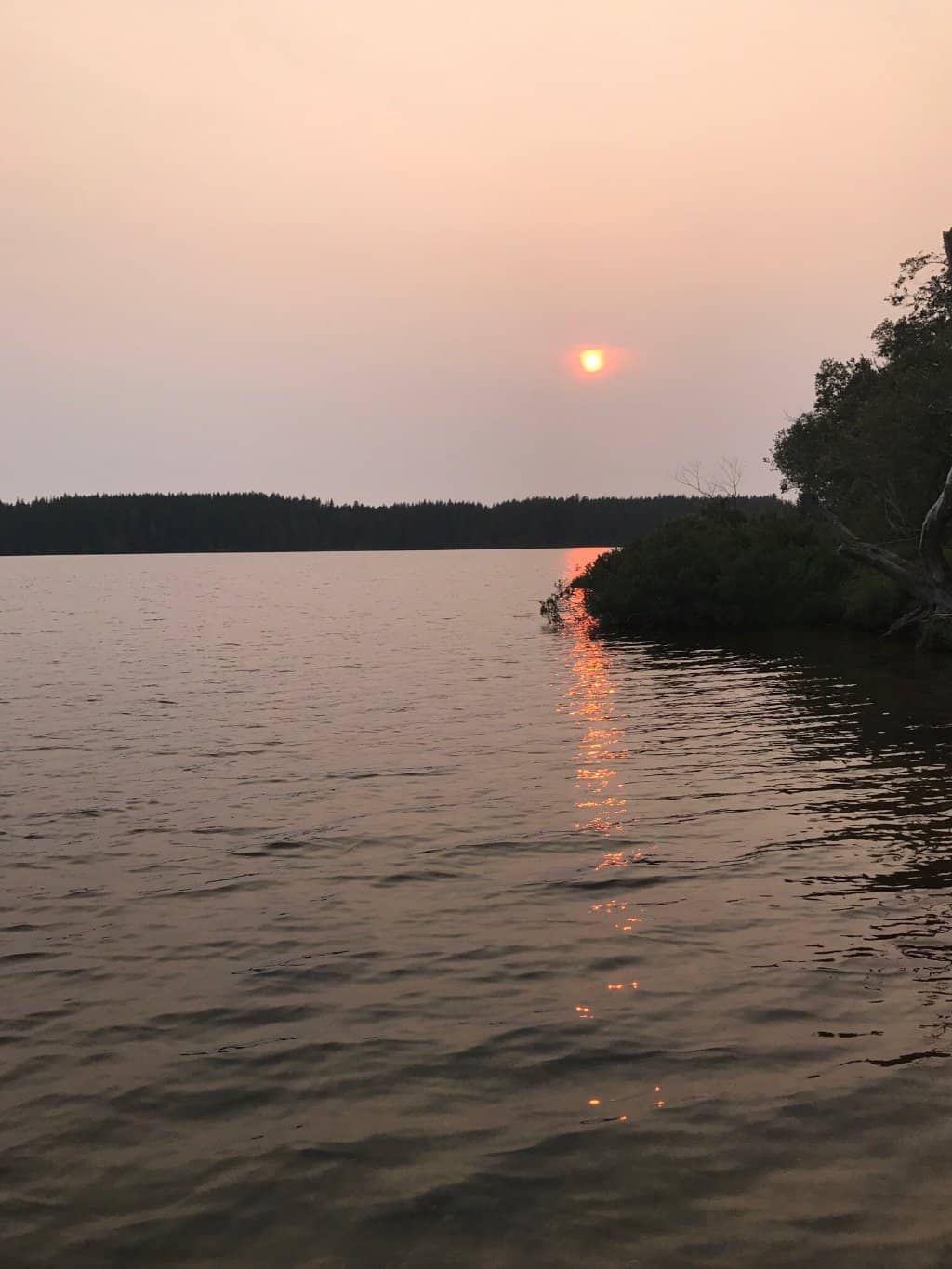Sunset Views