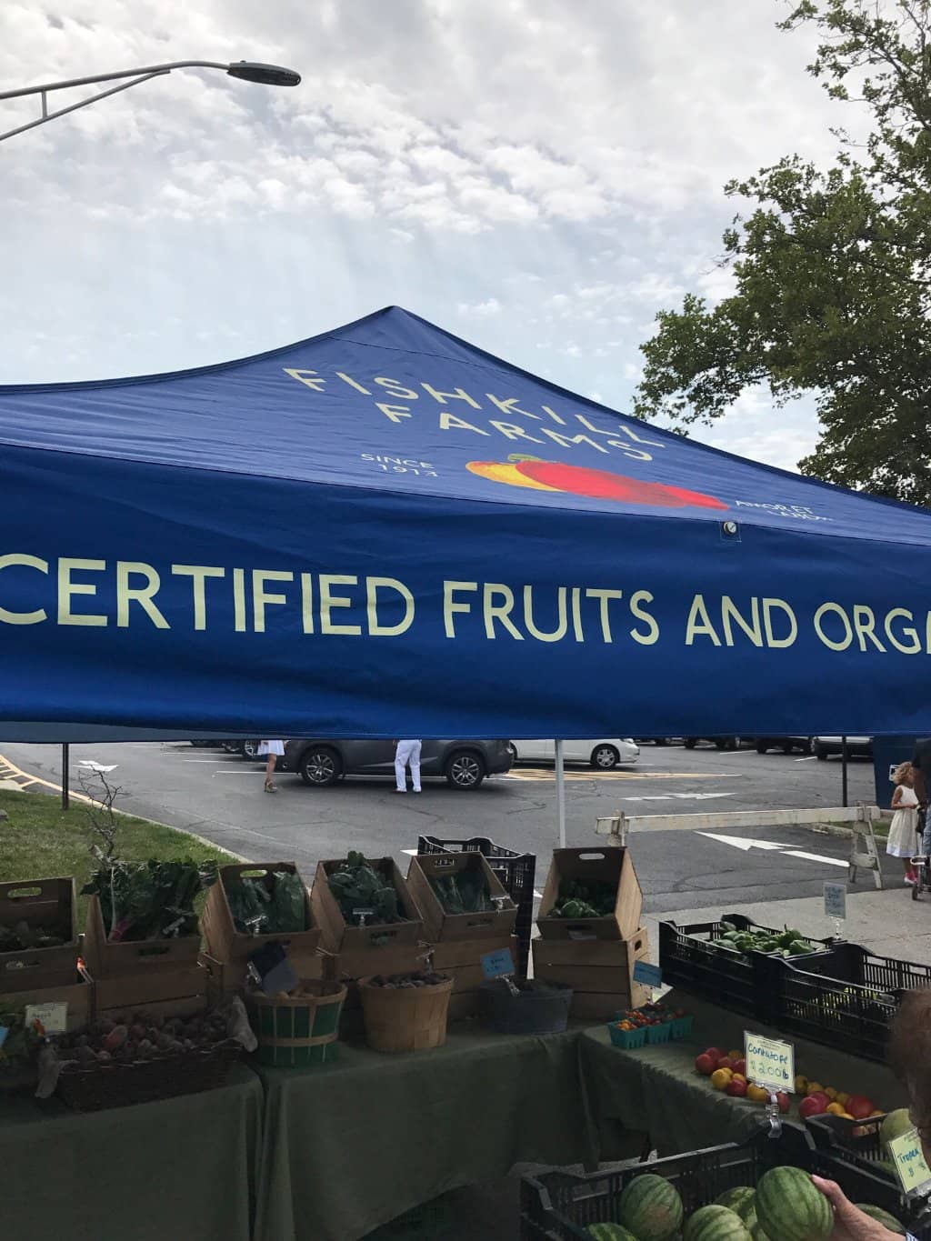 Gourmet Food Stalls