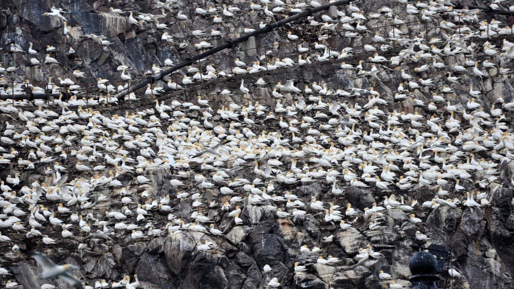 St. Baldred's Chapel Ruins
