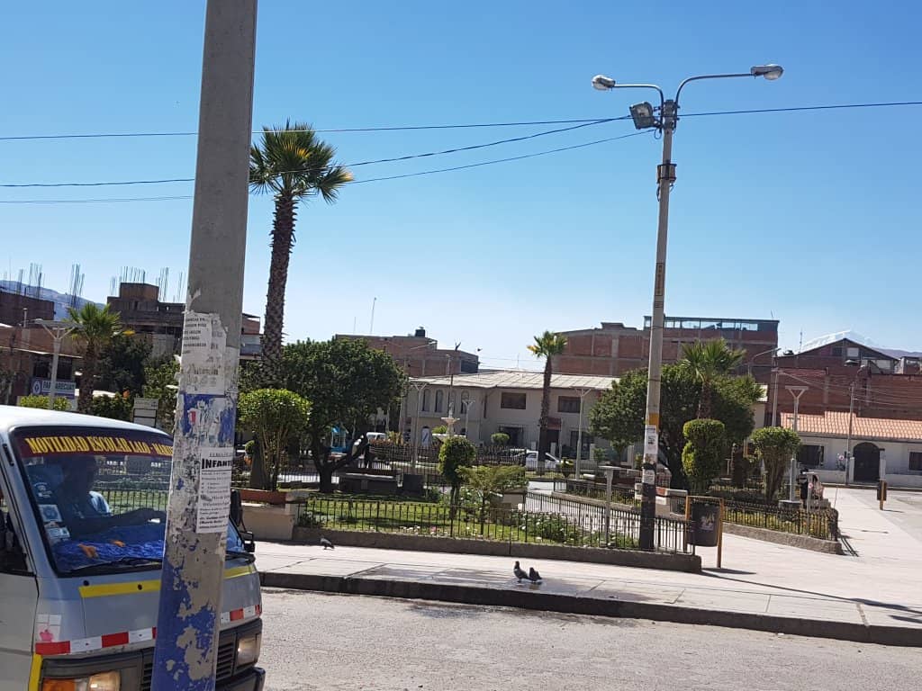 Street Food Delights