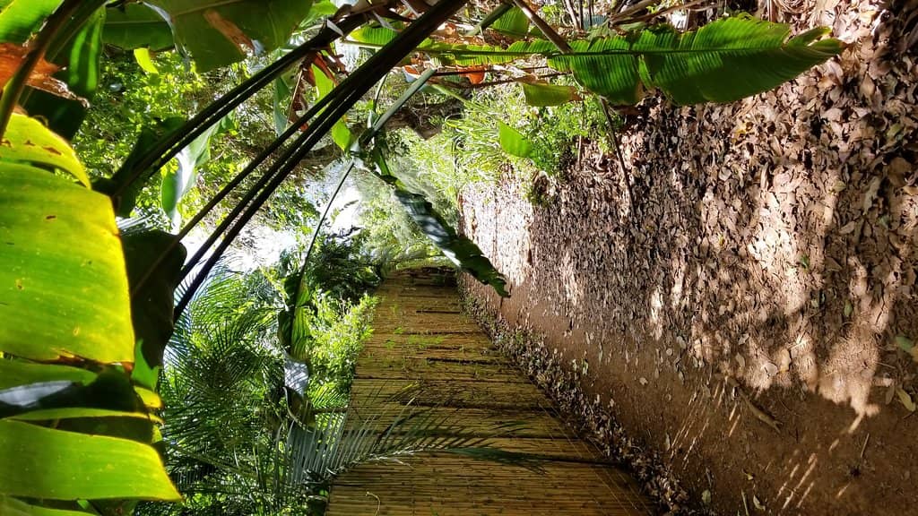 Kilauea Lighthouse Views
