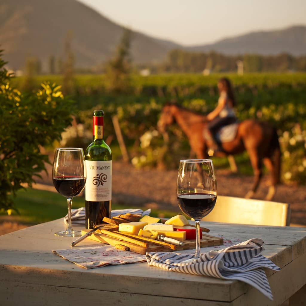 Wine Tasting Experience