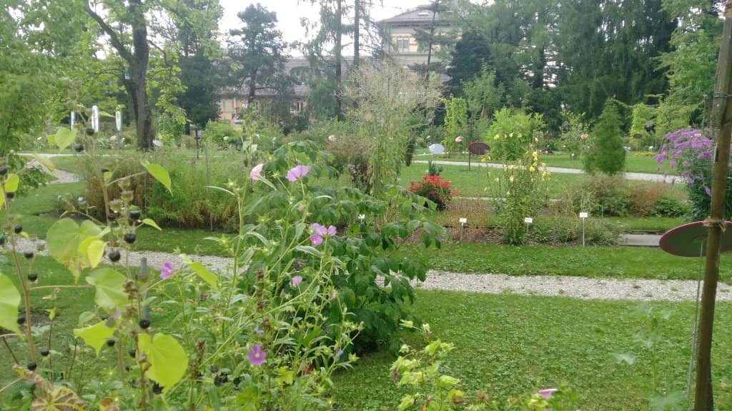 Winter Illuminations