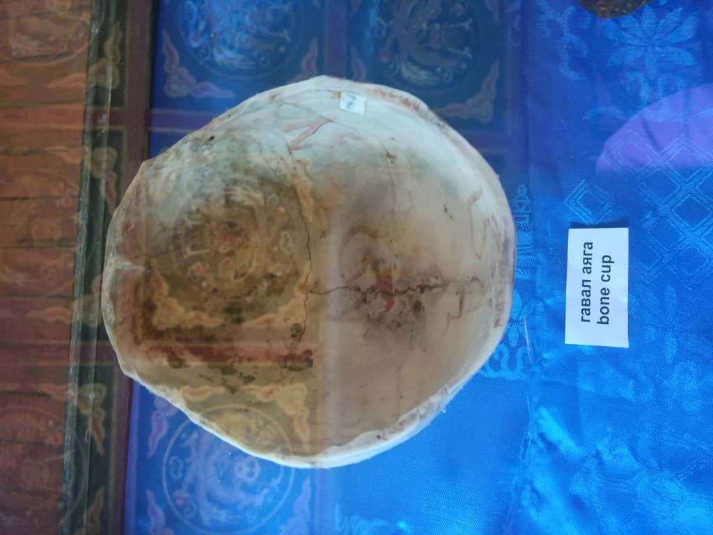 Natural History Museum