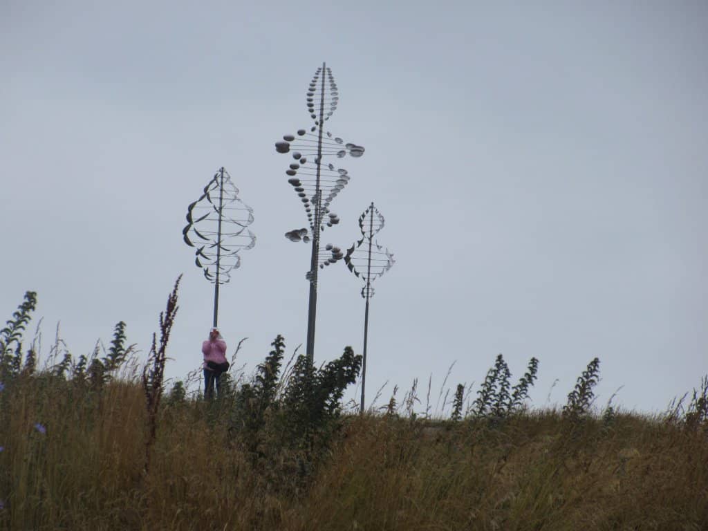 Vertical photo