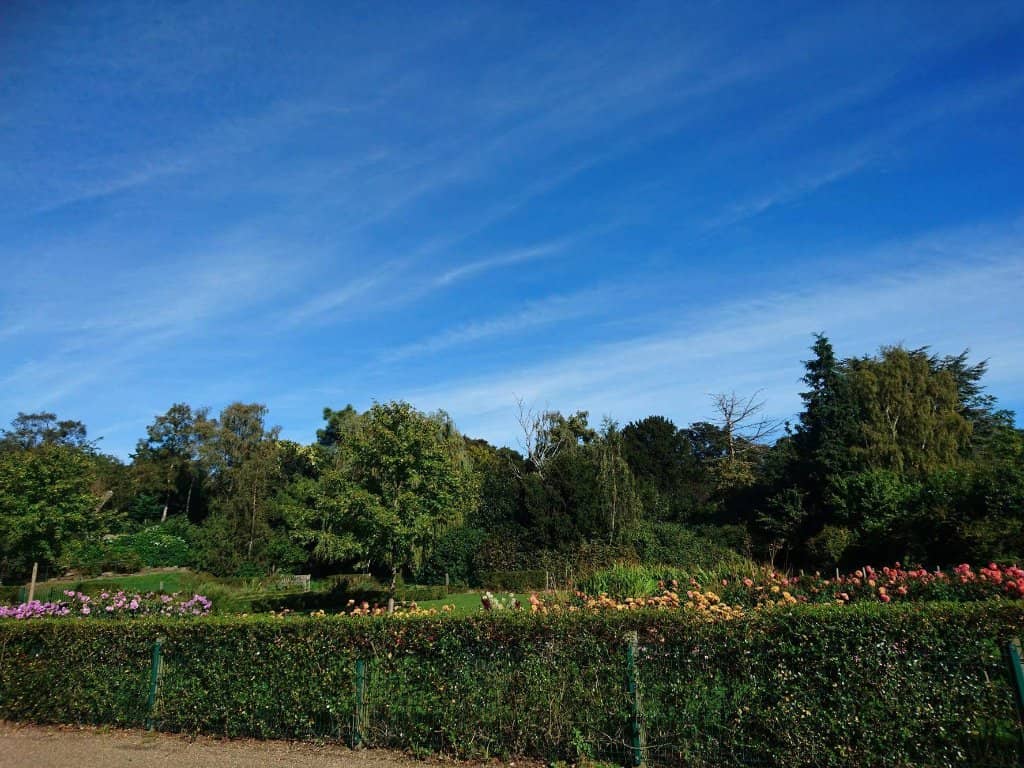 Perimeter Walking Path