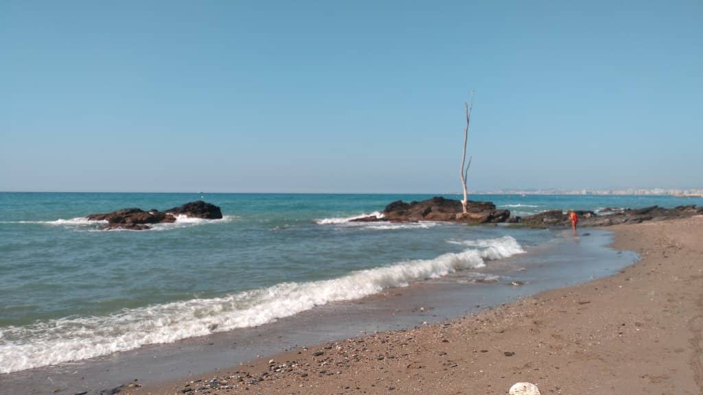 Tropical Cove Setting