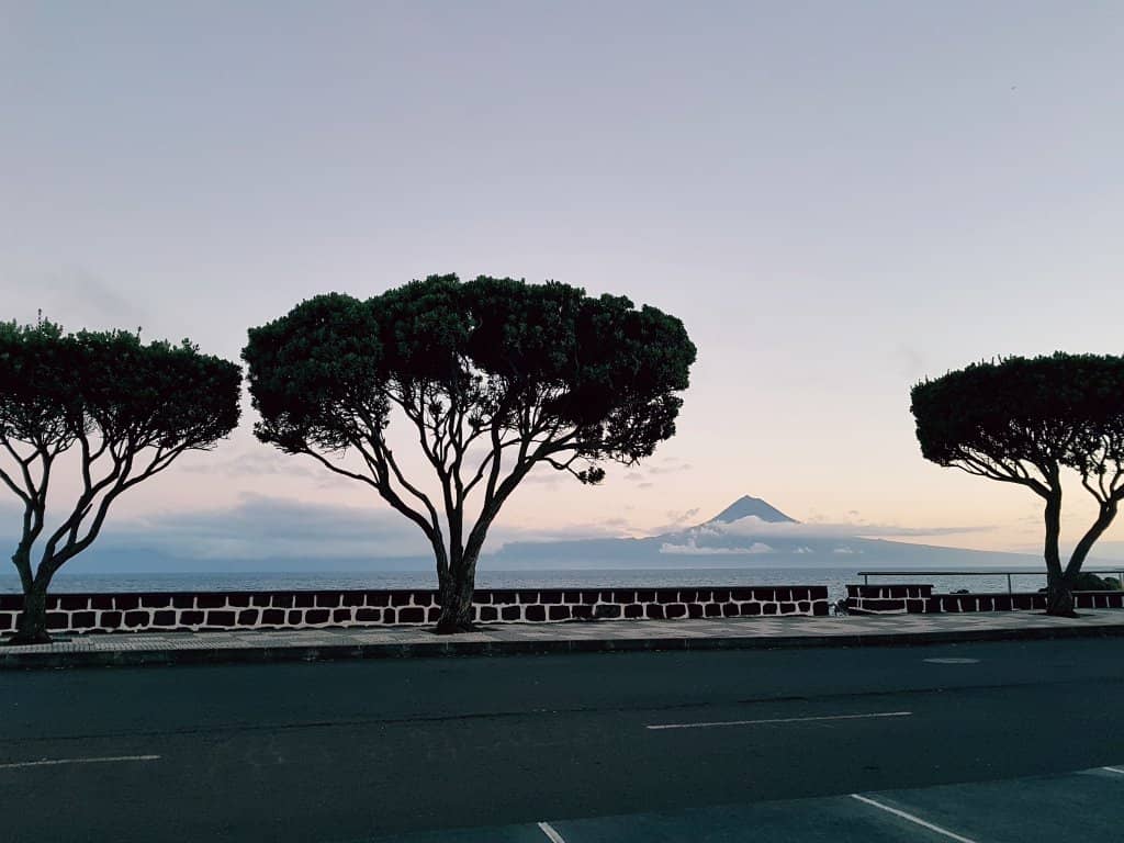 Volcanic Crater (Pico Alto)
