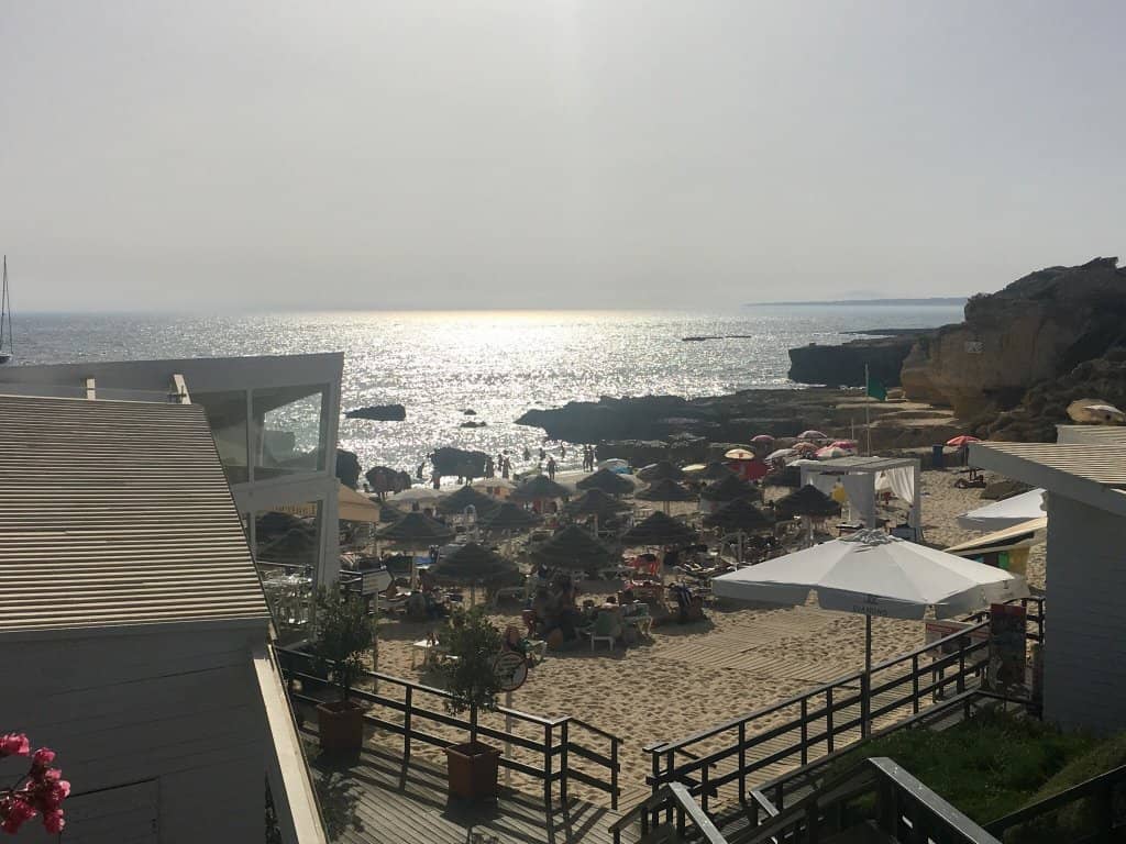Vertical photo