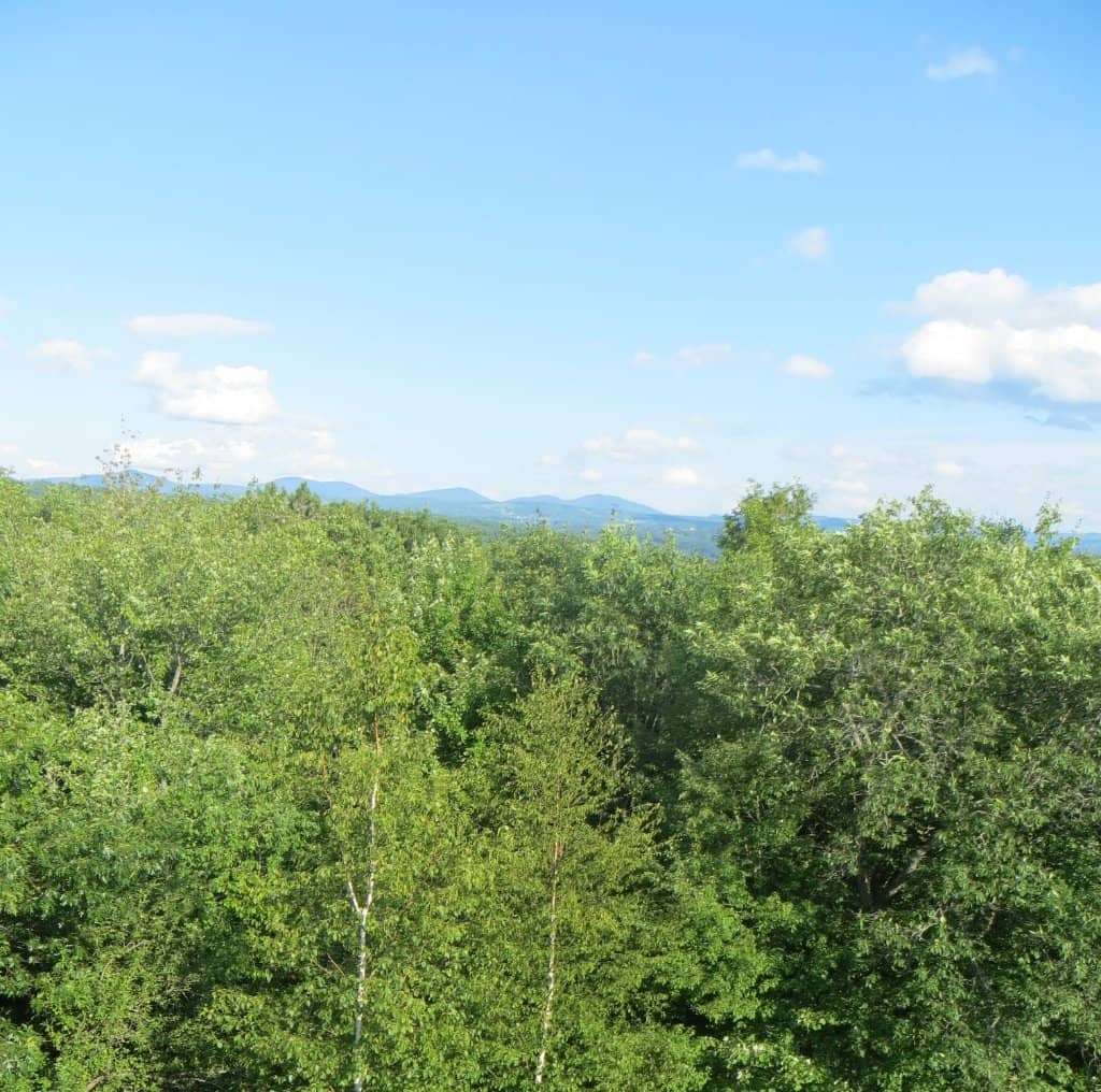 Natural Beauty & Wildlife