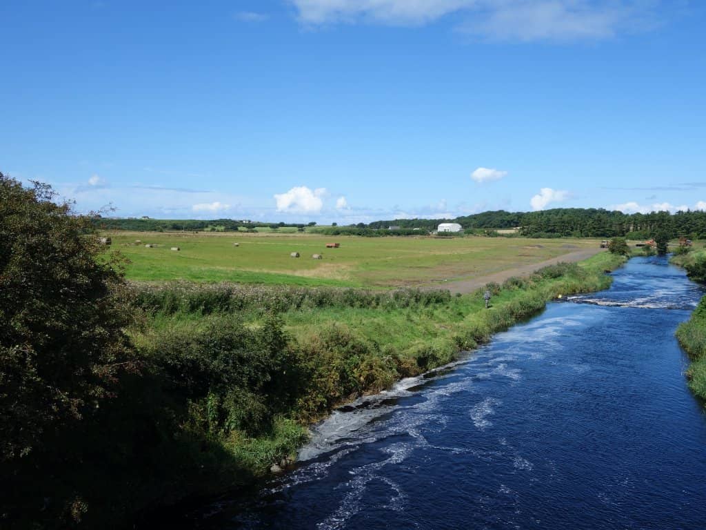 River Bush