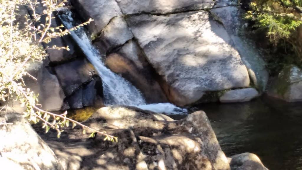 Rock Jumping and Swimming