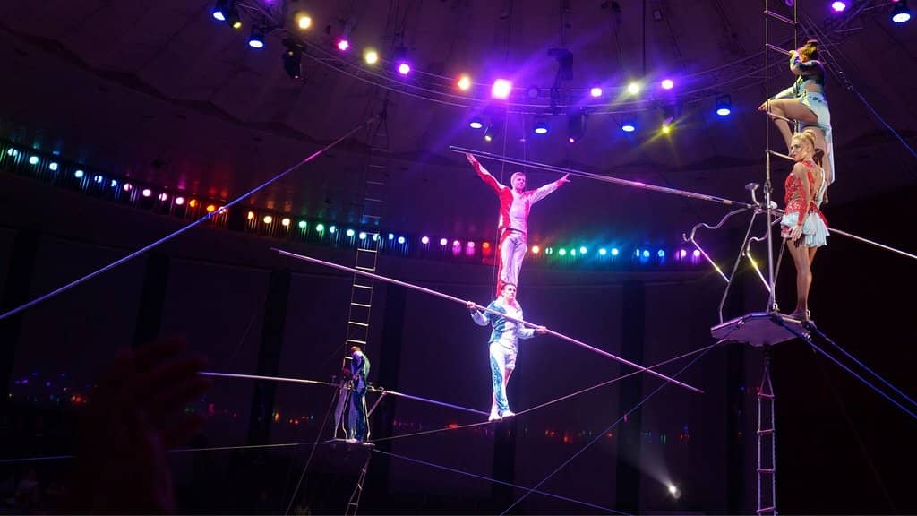 World-Class Performers