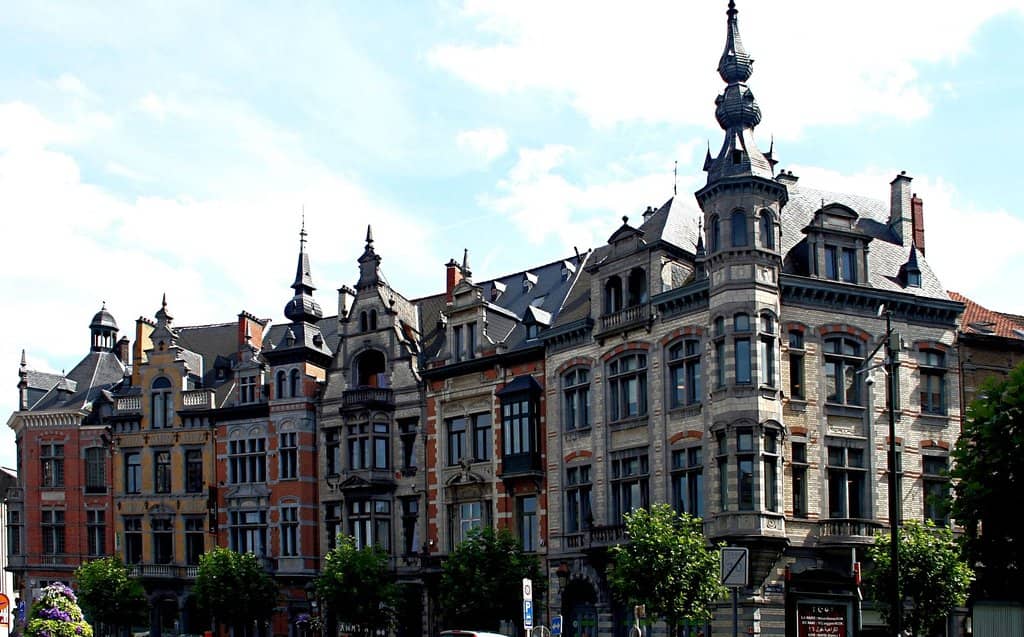 Lush Tree-Lined Paths