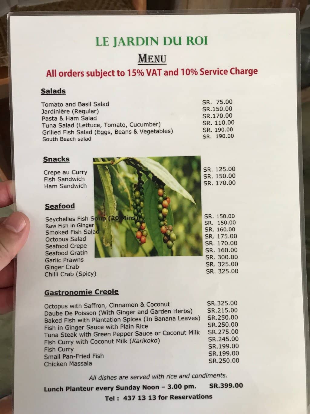 Giant Tortoise Encounter