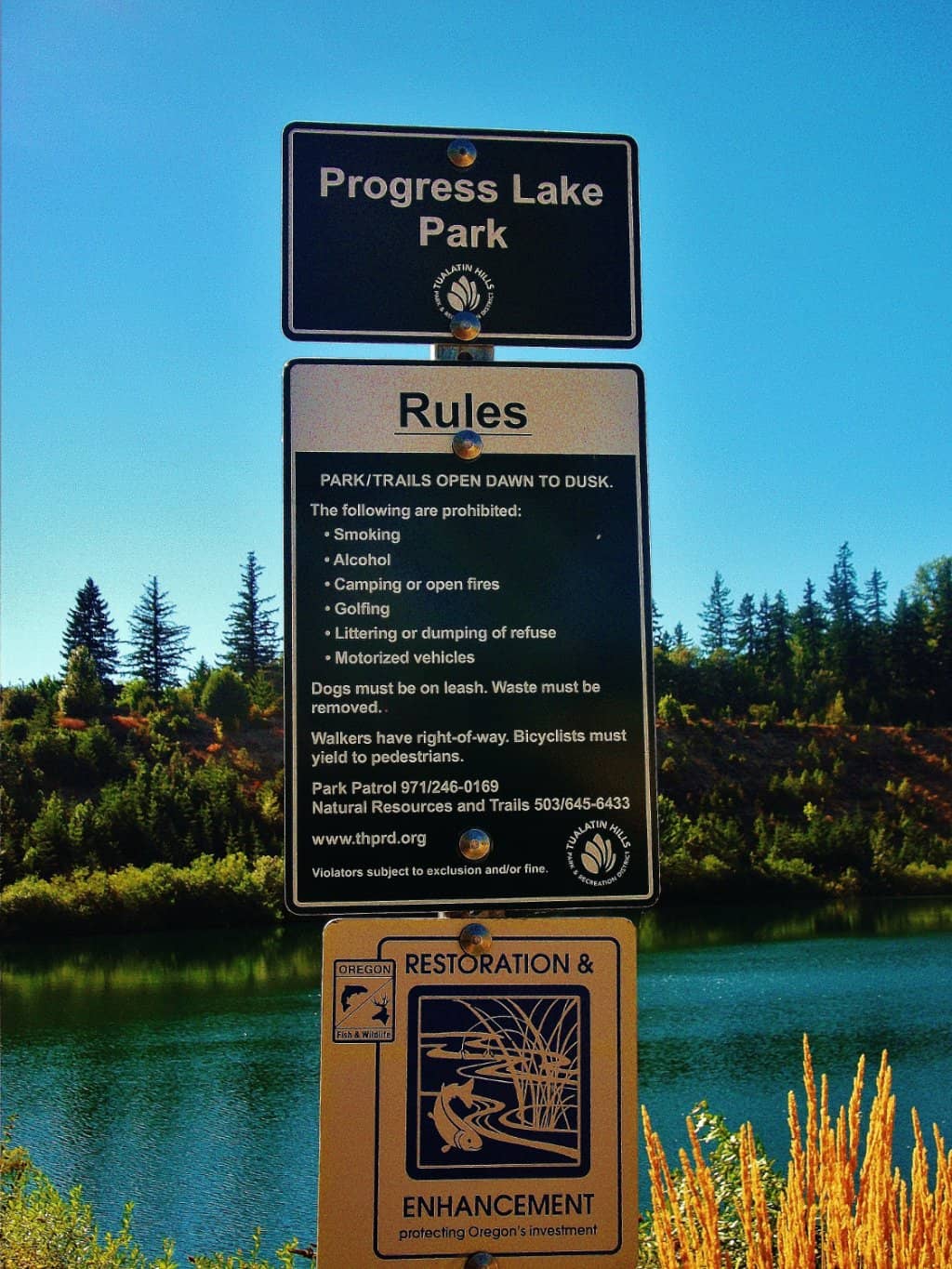 Vertical photo